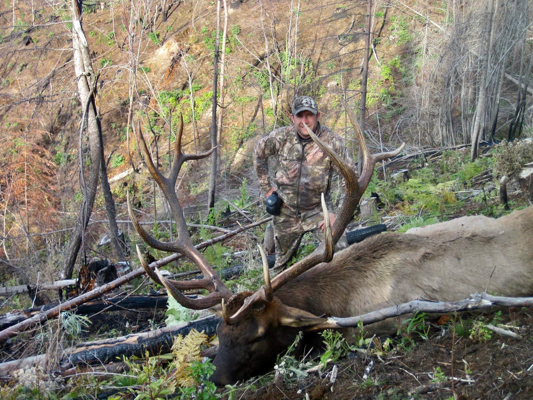 A friendly and family oriented outfitter and guide service.  Listen to the baying hounds as they tree your Cougar or Bear.   Idaho Whitetail Guides.