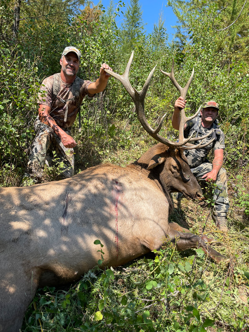 Nothing better than Elk harvested with guides from outfitter Idaho Whitetail Guides