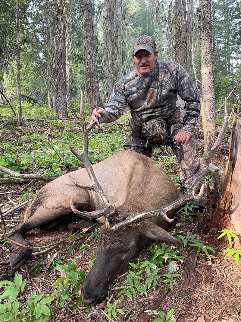 Elk hunting with Idaho Whitetail Guides in some beautiful mountains of Idaho