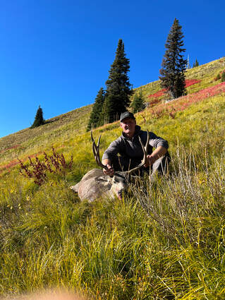Nice Whitetail from North Idaho.  Great hunt with Idaho Whitetail Guides